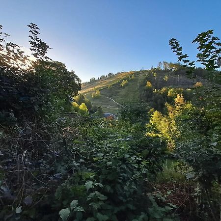 Platell Ferienhausverwaltung Sankt Andreasberg Exterior foto
