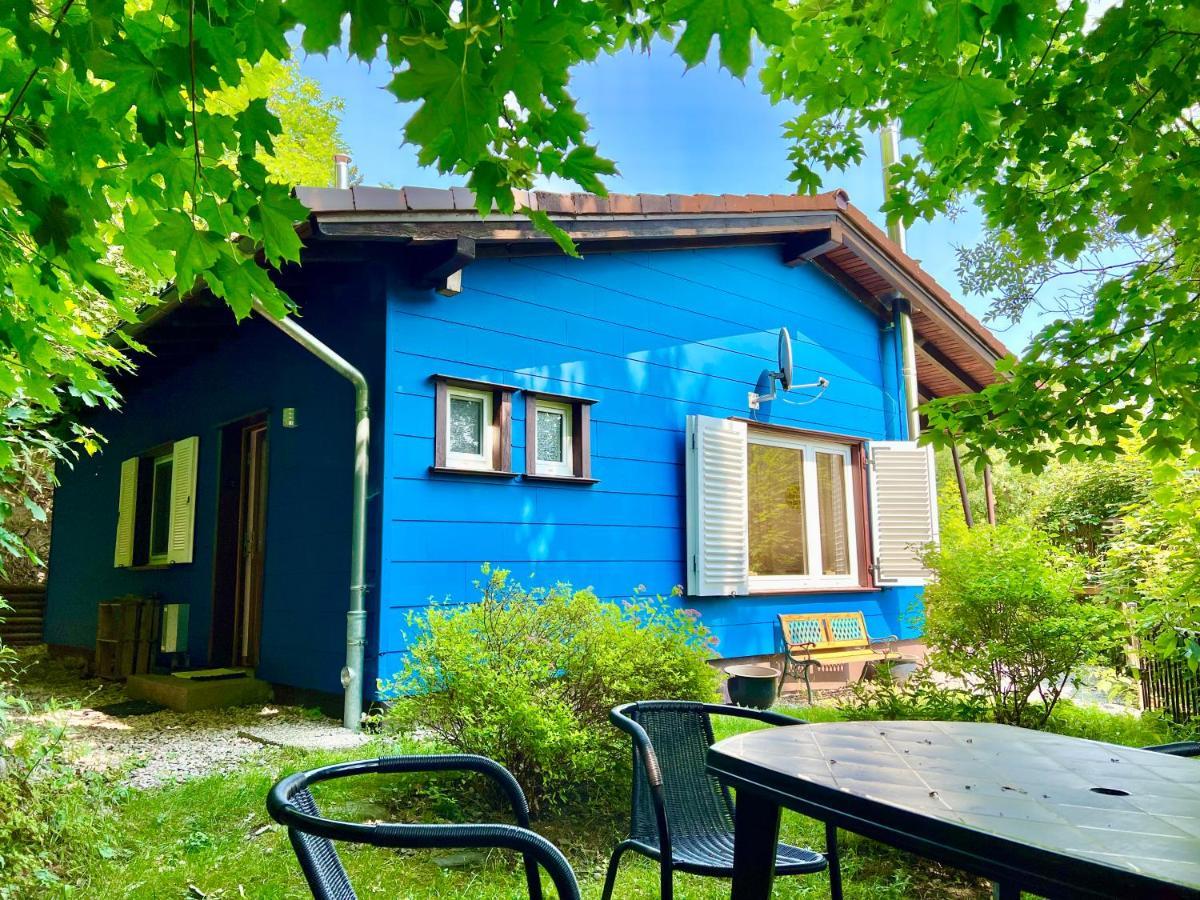 Platell Ferienhausverwaltung Sankt Andreasberg Exterior foto
