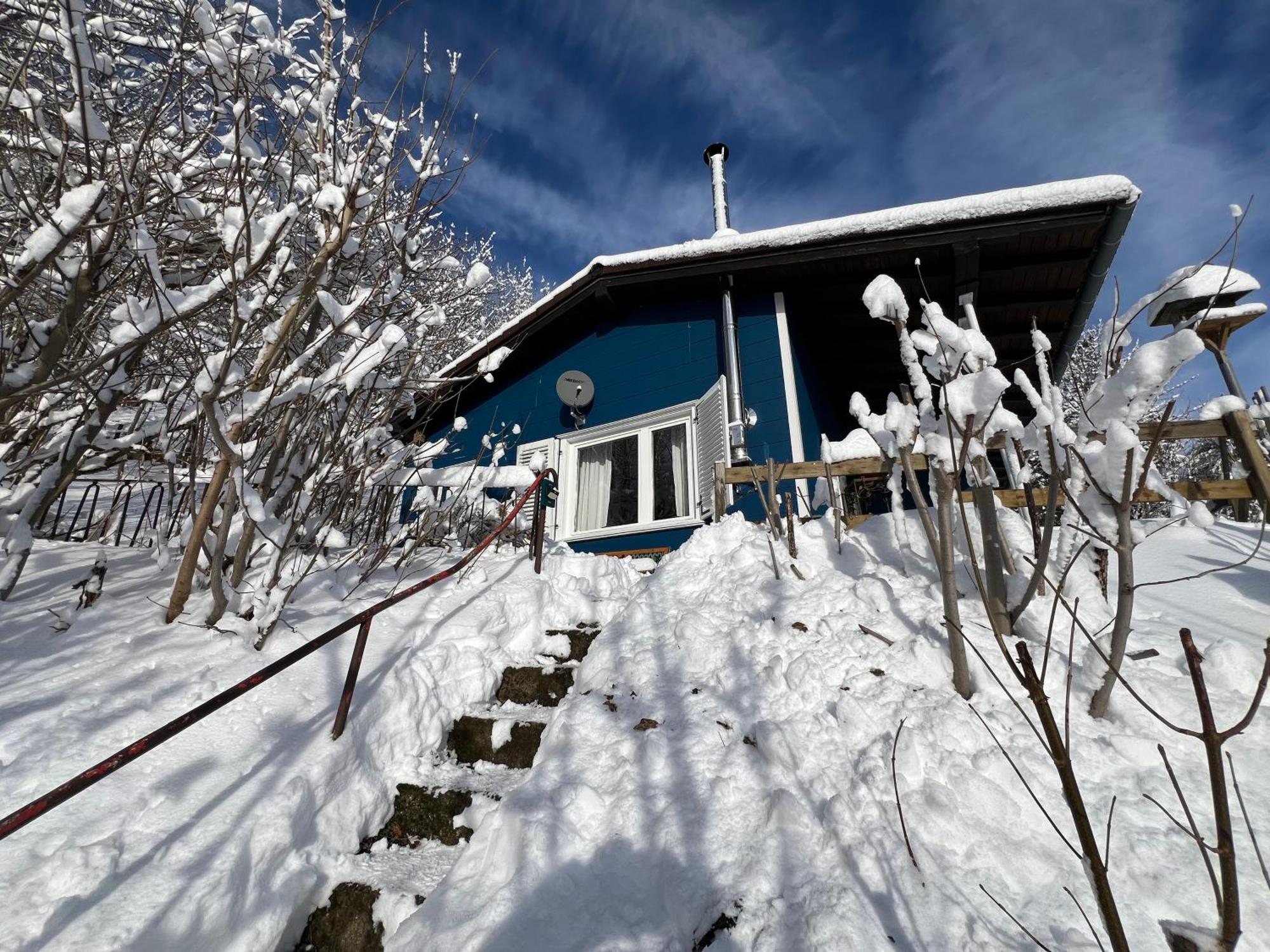 Platell Ferienhausverwaltung Sankt Andreasberg Exterior foto
