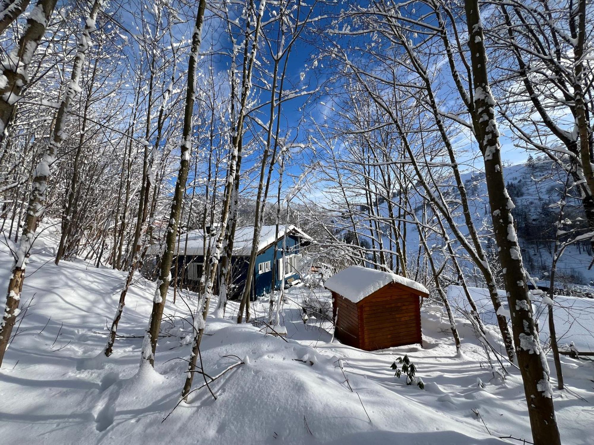 Platell Ferienhausverwaltung Sankt Andreasberg Exterior foto