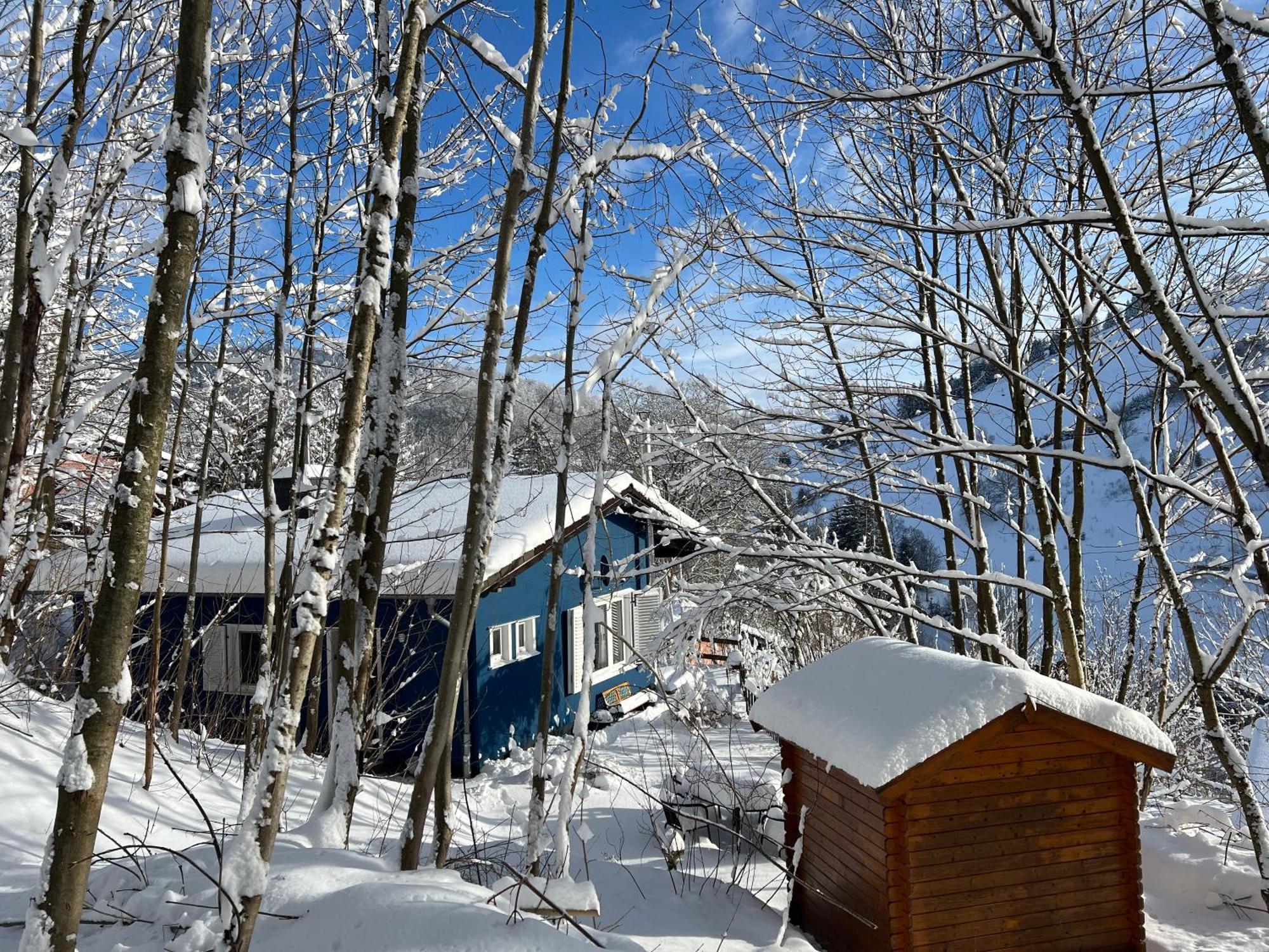 Platell Ferienhausverwaltung Sankt Andreasberg Exterior foto